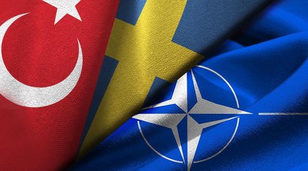 Media: Türkiye to approve Sweden's NATO membership by end of year