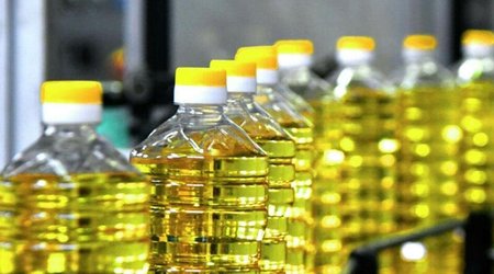 "Palmali" 6 milyon ton günəbaxan yağını Ukraynadan ixrac edəcək