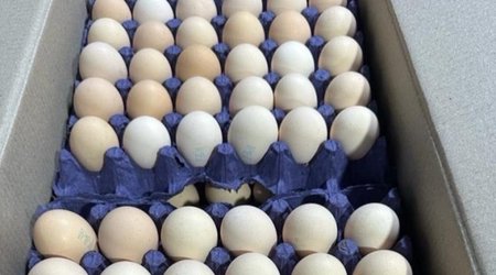 Azerbaijan begins exporting edible eggs to Russia