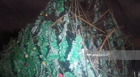 В центре Гянджи ветер повалил новогоднюю елку