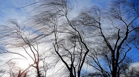 Сильный ветер в западном регионе Азербайджана привел к ряду негативных последствий