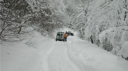 В Лянкяране высота снежного покрова превысила полметра