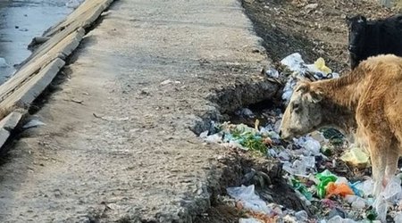 Дорога в Имишлинском районе находится в плачевном состоянии