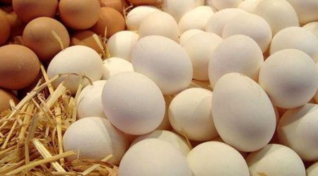 Azerbaijan sends 3.3M eggs to Russia