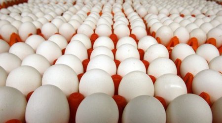 Azerbaijan supplied 4.2 million eggs to Russia in January 2024