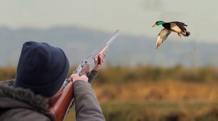 В Агджабеди пресечена незаконная охота на диких птиц