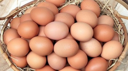 Russia imports about 20 million eggs to from Azerbaijan, Türkiye