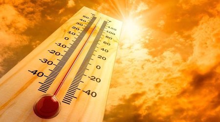 Февраль 2024 года может стать самым жарким в истории