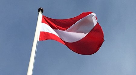 Austria to allocate 10M euros to ICRC, WHO and UNICEF to help Palestinians