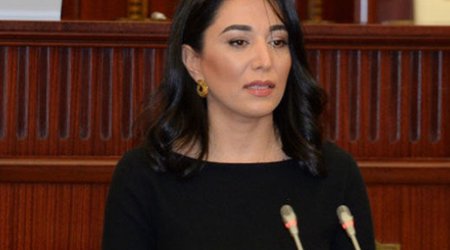 Омбудсмен выступила с докладом в Милли Меджлисе
