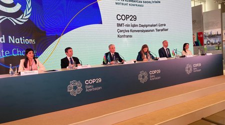 2024 cü il Azərbaycan üçün yaşıl enerji ili elan edilib - Nazir