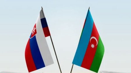 Azərbaycan Slovakiyaya ixracı artıracaq