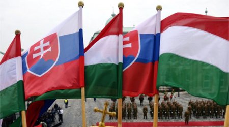 Macarıstan və Slovakiya Gürcüstan hökumətini dəstəkləyib