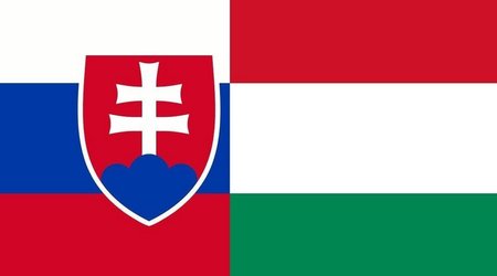 Hungary, Slovakia block EU's response to Georgia's adoption of foreign agents law