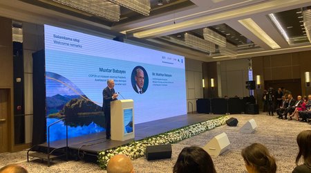Özəl sektor yaşıl enerji layihələrimə cəlb edilməlidir