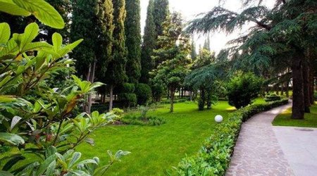 Azərbaycanda mühafizə olunan təbiət ocaqlarının sayı açıqlanıb