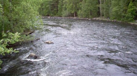 Минэкологии: Уровень воды в реках отслеживается