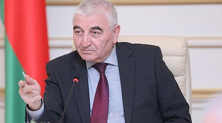 Məzahir Pənahov Macarıstanda seçkiləri müşahidə edəcək