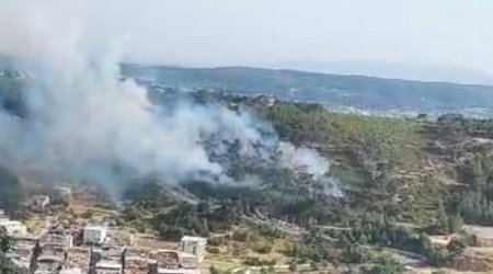 İzmirdə meşə yanğını başlayıb
