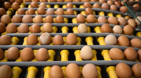 EU restores import duties on Ukrainian sugar, eggs