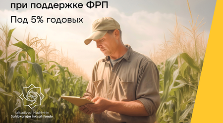 Развивайте свой бизнес с помощью кредита под 5% годовых от Yelo Bank