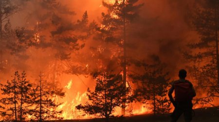Wildfires cover almost 1 million hectares in Russia’s Yakutia