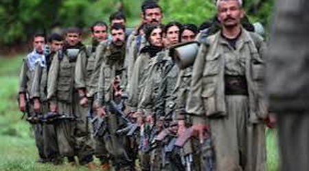 PKK-nın 3 üzvü zərərsizləşdirilib