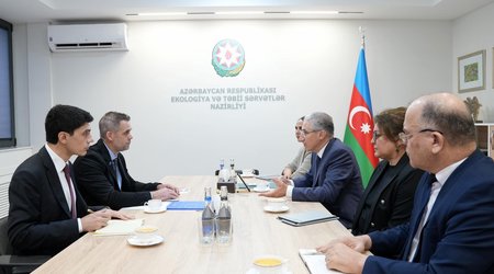 Mukhtar Babayev, IOM official exchange views on preparations for COP29
