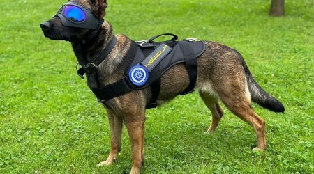 EU prepares female sapper unit with dogs for Ukraine