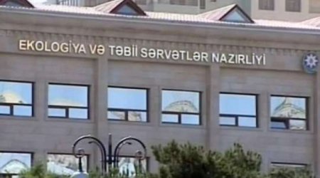 Учреждена должность первого замминистра экологии и природных ресурсов