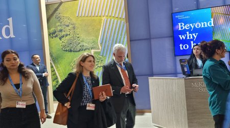 ABŞ-ın Azərbaycandakı səfiri COP29-da Yaşıl Zonada iştirak edib