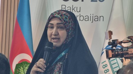Bu pulları havanı çirkəndirlənlər verməlidir - İranlı ekoloq
