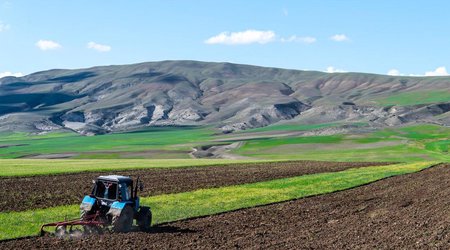 Аграрный сектор в Азербайджане вырос на 1%