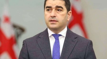 Gürcüstan Fransanı yeni seçkilər keçirməyə çağırıb