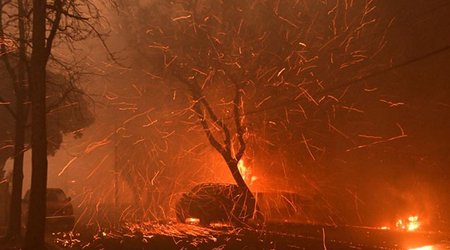 Los-Ancelesdə komendant saatı tətbiq ediləcək