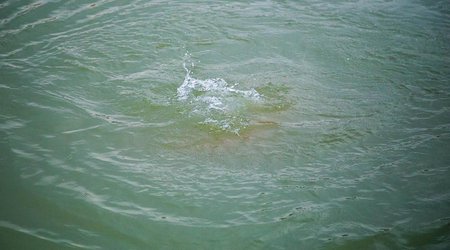 В Агджабединском районе в водоканале утонул человек