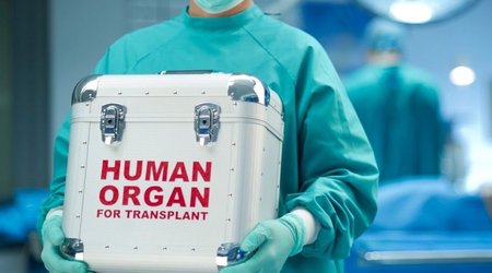 Ümid edirik meyitdən donor köçürülməsi davamlı olacaq - Rəşad Mahmudov