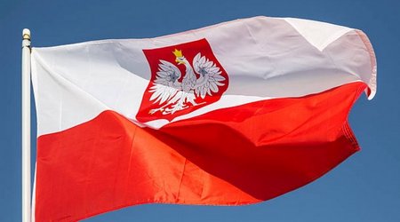 Polşa Gürcüstan vətəndaşlarını deportasiya etməyə başlayıb