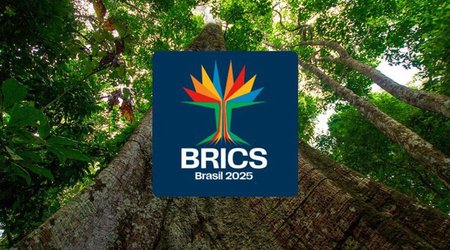 Ermənistan BRİKS-də müşahidəçi olmaqda maraqlıdır