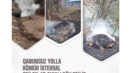 В Азербайджане ликвидированы 43 незаконные угольные ямы