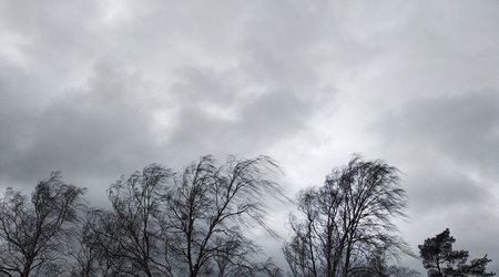 МЧС Азербайджана обратилось к населению в связи ожидаемой непогодой