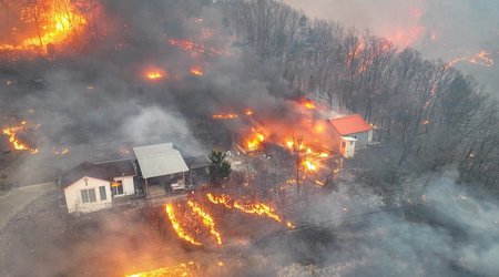Число жертв лесных пожаров в Южной Корее выросло до 26 человек