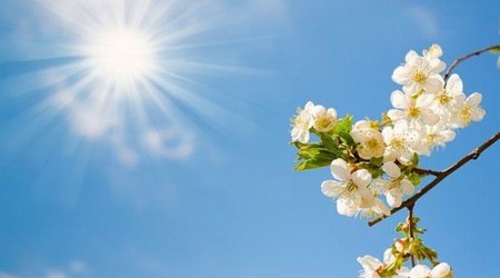 Завтра в Баку ожидается до 31° тепла