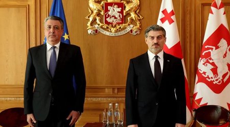 Gürcüstan Prezidenti Azərbaycan səfirini qəbul edib
