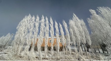 Рекордные заморозки в Турции