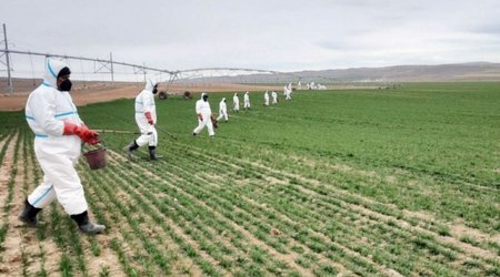 Apreldəki yağışlara görə sığortalı fermerlərə 13 milyon ziyan dəyib