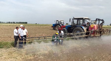 Bəzi məhsulların istehsalı ilə bağlı "Dövlət Proqramı" hazırlanır
