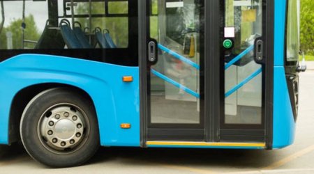 5 müntəzəm marşrut xəttinə daha yeni avtobuslar cəlb edilir