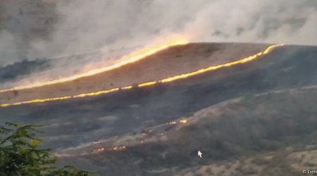 İsrail meşə yanğınlarının söndürülməsində Azərbaycandan kömək istəyib