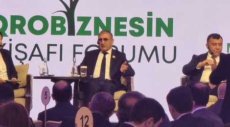 Kənd təsərrüfatı ilə bağlı son 2 ildə qırxdan çox qanun qəbul olunub - Deputat